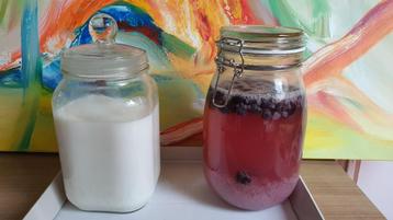 KEFIR Waterkefir of MelkKefir  beschikbaar voor biedingen