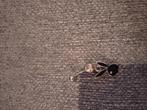 Navelpiercing, Handtassen en Accessoires, Piercings, Ophalen of Verzenden, Zo goed als nieuw, Navelpiercing
