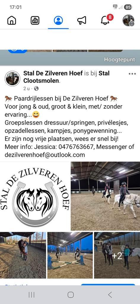 Paardrijlessen, Dieren en Toebehoren, Paarden