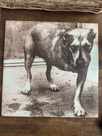 Alice in chains - 2x vinyl - White beschikbaar voor biedingen