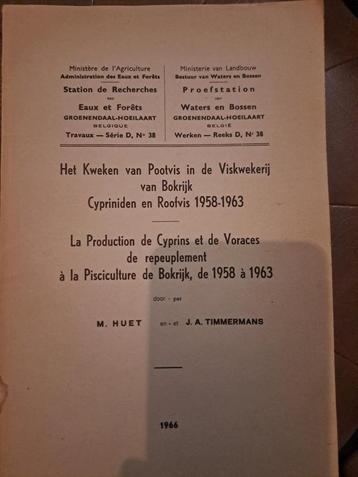 Viskwekerij, Bokrijk, Cypriniden, Roofvis beschikbaar voor biedingen