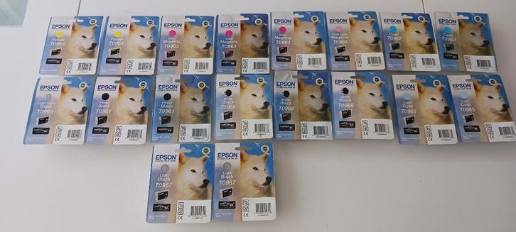 18 cartouches d'impression EPSON (Husky), Informatique & Logiciels, Fournitures d'imprimante, Neuf, Cartridge, Enlèvement ou Envoi