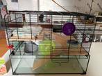 Hamsterkooi met toebehoren, Dieren en Toebehoren, Kooi, Gebruikt, Minder dan 75 cm, Hamster