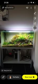 Aquarium, Animaux & Accessoires, Poissons | Aquariums & Accessoires, Enlèvement, Utilisé