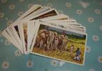 Chromos  DE Afrikaanse Fauna 100st Volledig, Verzamelen, 1960 tot 1980, Gebruikt, Verzenden, Prent