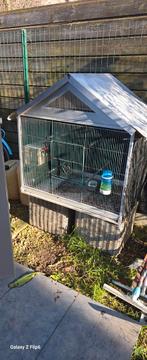 250 eur, Dieren en Toebehoren, Ophalen