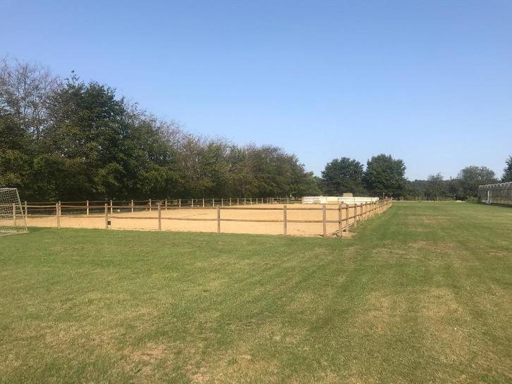 Pensionstal paarden te Lier, Dieren en Toebehoren, Stalling en Weidegang, Stalling