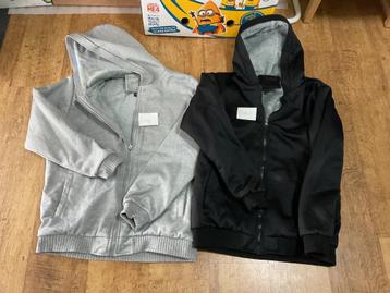 Sweaters, Ophalen of Verzenden, Zo goed als nieuw