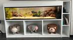 1.5m aquarium, Dieren en Toebehoren, Ophalen, Zo goed als nieuw