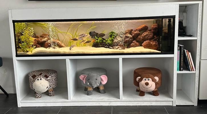 1.5m aquarium, Dieren en Toebehoren, Vissen | Aquaria en Toebehoren, Zo goed als nieuw, Ophalen