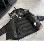 Veste Burberry Puffer, Vêtements | Hommes, Vestes | Hiver, Enlèvement ou Envoi