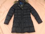 Winterjas Tommy Hilfiger  L, Kleding | Dames, Jassen | Winter, Tommy hilfiger, Blauw, Maat 42/44 (L), Nieuw