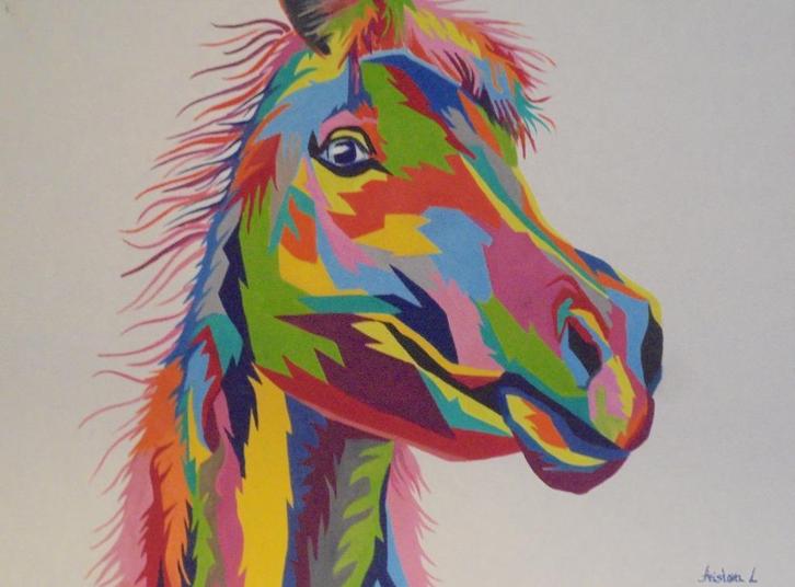 olieschilderij popart pony (60x80 cm), Antiek en Kunst, Kunst | Schilderijen | Modern, Ophalen of Verzenden
