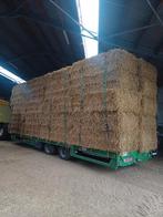 Kleine en grote pakken stro, Zakelijke goederen, Landbouw | Veevoer, Ophalen of Verzenden