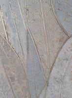 Top kwaliteit behangpapier casamance 76533364, Ophalen of Verzenden
