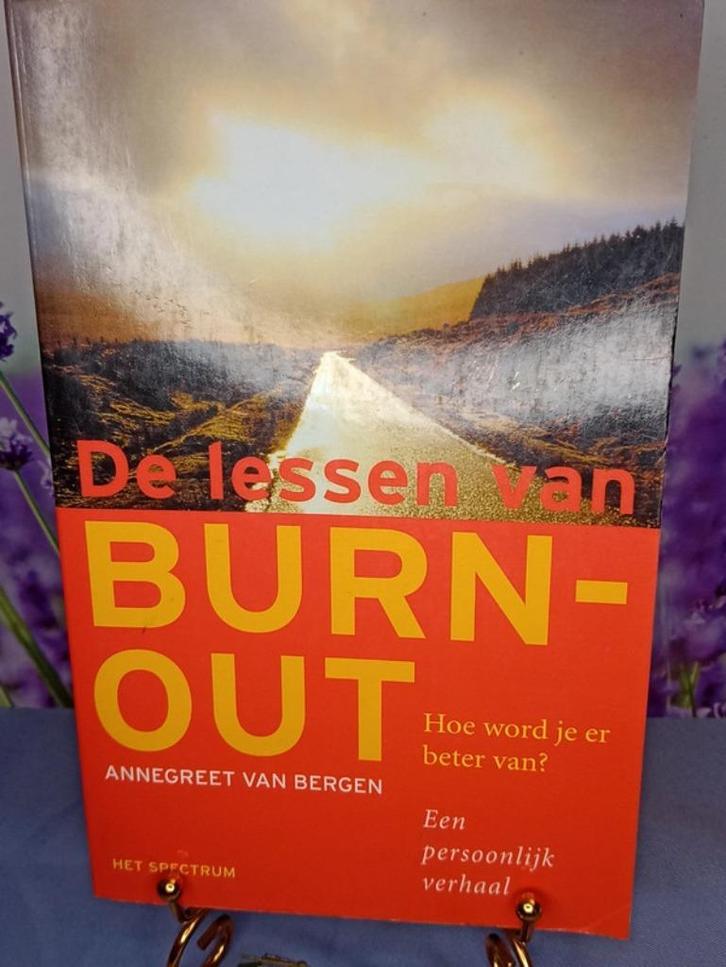 De lessen van burn-out, Boeken, Psychologie, Zo goed als nieuw, Ophalen of Verzenden
