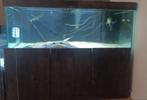 Groot aquarium 150x100x60, Dieren en Toebehoren, Ophalen, Gebruikt, Leeg aquarium