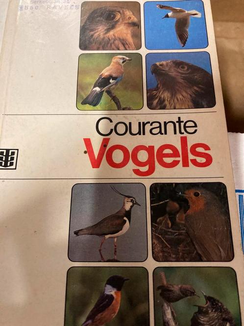 Herkennen van vogelsoorten courante vogels, Boeken, Dieren en Huisdieren, Zo goed als nieuw, Vogels, Ophalen of Verzenden