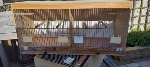 Kweekkooien in hout met metalen tralies., Dieren en Toebehoren, Vogels | Kanaries