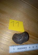 Fossiles en spirale (NR11), Collections, Enlèvement ou Envoi, Fossile