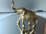 Beau petit bronze éléphant mignon. 8.5 cm HT, Bronze