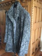 Grijze astrakan, Kleding | Dames, Ophalen of Verzenden