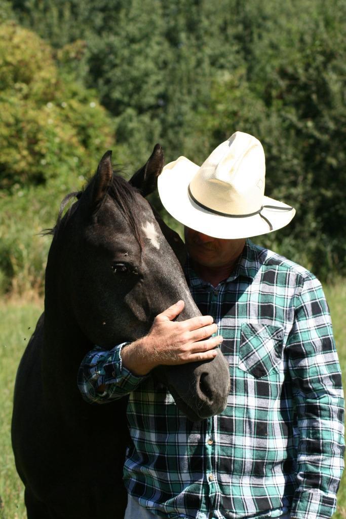 Probleem paarden, Diensten en Vakmensen, Dieren | Paarden | Verzorging, Oppas en Dressuur, Gedragstraining