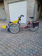 Electrische rolstoelfiets, Fietsen en Brommers, Ophalen, Gebruikt, The Duet