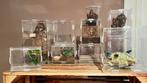 Terrarium, Dieren en Toebehoren