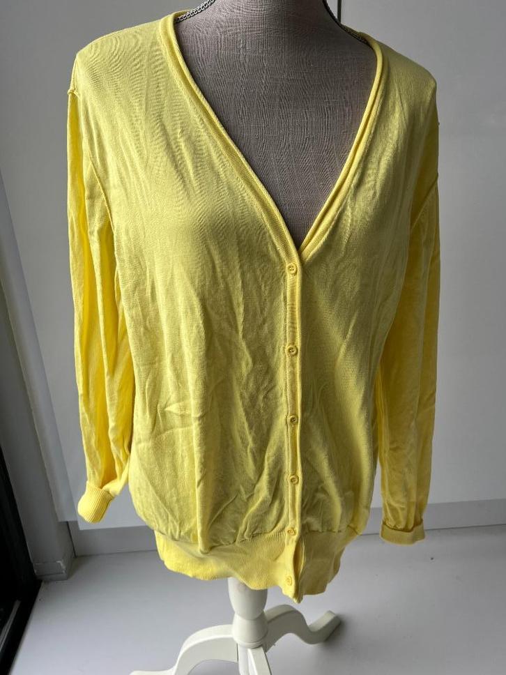 essentials by axiome, Kleding | Dames, Truien en Vesten, Gedragen, Maat 42/44 (L), Geel, Ophalen of Verzenden