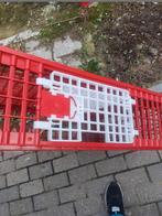 Pigeons en cage pliante