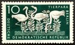 DDR: Berlin Zoo 1956 POSTFRIS, Postzegels en Munten, Postzegels | Europa | Duitsland, Ophalen of Verzenden, DDR, Postfris