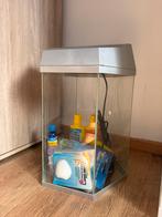 Aquarium met toebehoren (filter, producten & decoratie)!, Dieren en Toebehoren, Ophalen, Zo goed als nieuw, Leeg aquarium