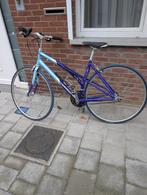 Fiets, Fietsen en Brommers, Versnellingen, Zo goed als nieuw, 50 tot 53 cm, Ophalen