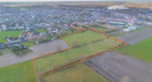 Te koop:2 grote Weiden/ Landbouwgronden 1,11 en 1,04 Hectare, Dieren en Toebehoren, Paarden, Hengst, M