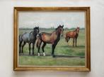 Paarden op weiland., Ophalen of Verzenden