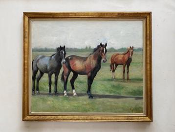 Paarden op weiland., Enlèvement ou Envoi
