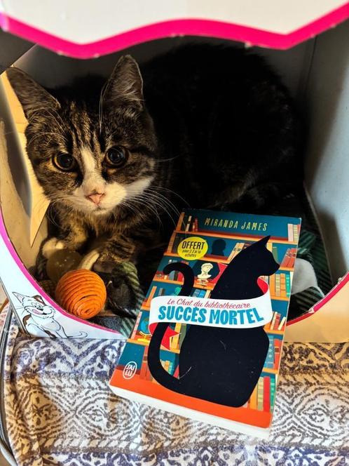 Succès mortel - Le chat du bibliothécaire, Boeken, Detectives, Zo goed als nieuw, Ophalen of Verzenden