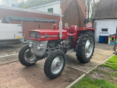 Massey Ferguson 135 8S - 1970, Zakelijke goederen, Landbouw | Tractoren, Massey Ferguson, Oldtimer