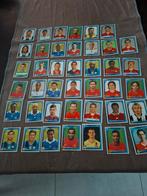 Panini Champions league 2008-2009, Ophalen of Verzenden, Sticker