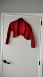 Boléro Phildar maat L, Kleding | Dames, Ophalen of Verzenden, Maat 42/44 (L)
