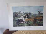Prenten, litho's schilderijen, Ophalen of Verzenden