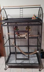 Cage perroquet, Enlèvement, Comme neuf, Métal, Cage à oiseaux