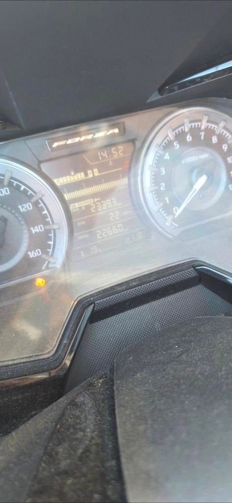 Honda forza, Motoren, Motoren | Honda, Particulier, Scooter, Ophalen