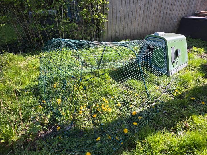 Eglu Go - Kippenhok met ren (voor 3 grote kippen), Animaux & Accessoires, Volatiles | Accessoires, Utilisé, Poulailler, Enlèvement