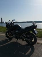 Bandit GSF 600 S, Motos, Plus de 35 kW, Particulier, 4 cylindres, Naked bike