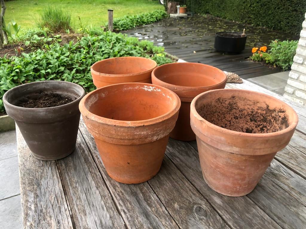 5 terracottapotten, Tuin en Terras, Ophalen, Zo goed als nieuw