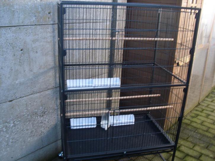 Perruches en cage, Animaux & Accessoires, Oiseaux | Perruches & Perroquets, Perruche