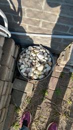 Gratis sierstenen, Tuin en Terras, Ophalen, Zo goed als nieuw