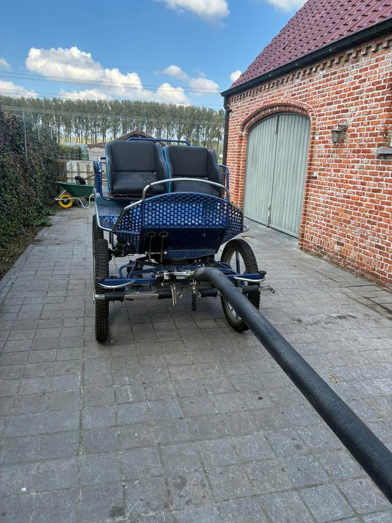 Paarde koets, Utilisé, Calèche marathon, Cheval